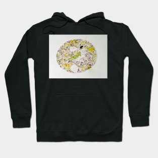 Nassulid ciliate - an unicellular ciliate that feeds on filamentous blue-green algae Hoodie